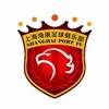 朱艺：海港无法再引进两名新外援 最多只能引进1人顶替受伤外援