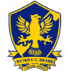 热特巴西U19队徽