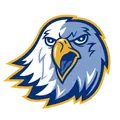莱恩哈特队徽