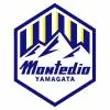 山形山神队徽