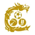 和富九龙城队徽
