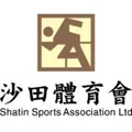 至尊沙田队徽