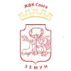 ZKF孔宏女足队徽